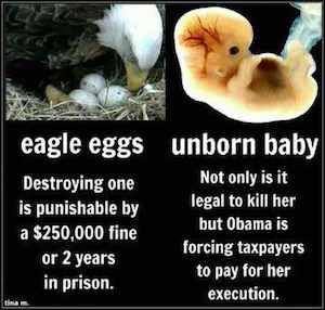 $250,000 fine for destroying an eagle egg, but it’s legal to kill a baby in the womb! 